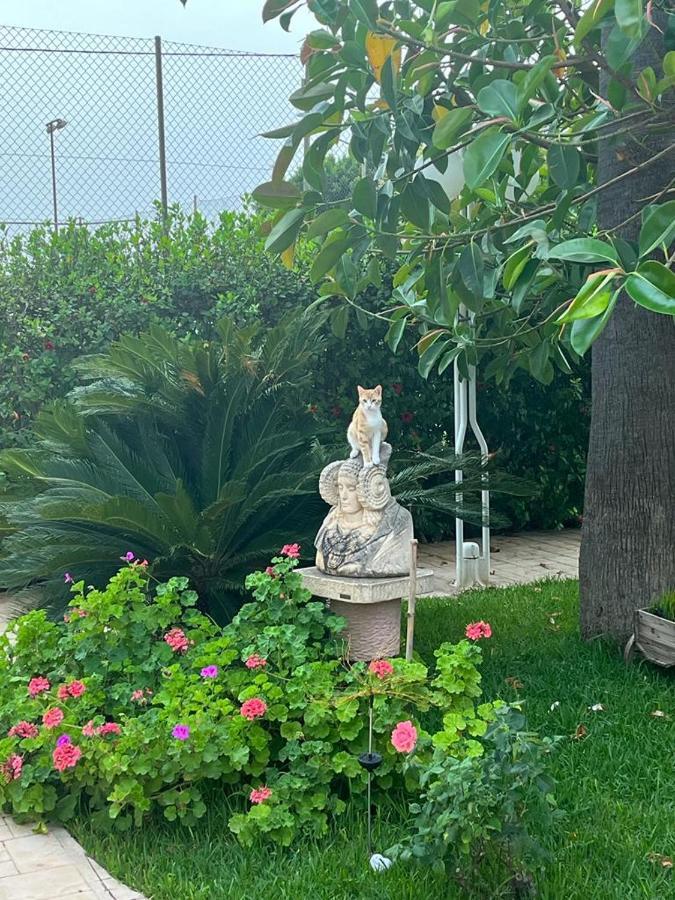 Romantico Wellness Casa Veronica Elche Exteriör bild